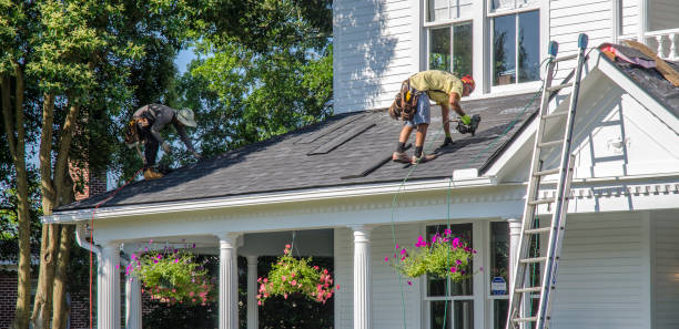 Roof Restoration in Mcalmont, AR